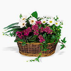 Parsippany Florist | Spring Garden