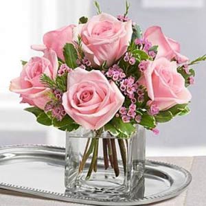 Parsippany Florist | 6 Pink Roses