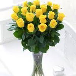 Parsippany Florist | 18 Yellow Roses