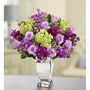 Parsippany Florist | Lavender Collection