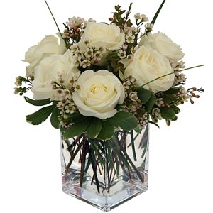 Parsippany Florist | 6 White Roses
