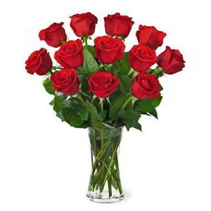 Parsippany Florist | Dz Red Roses