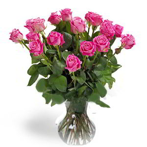 Parsippany Florist | 18 Pink Roses