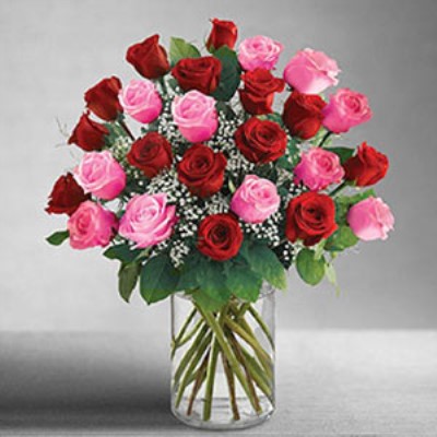 Parsippany Florist | 24 Pink  & Red Roses