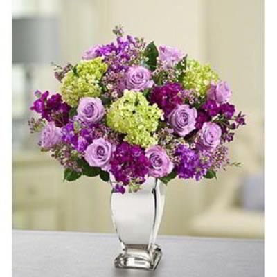 Parsippany Florist | Lavender Collection