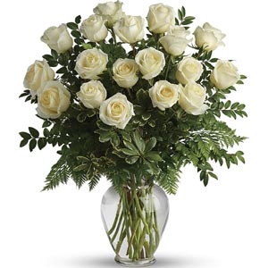 Parsippany Florist | 18 White Roses