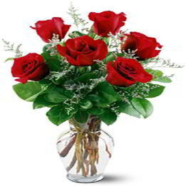 Parsippany Florist | Six Red Roses