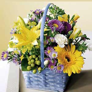Parsippany Florist | Beautiful Basket