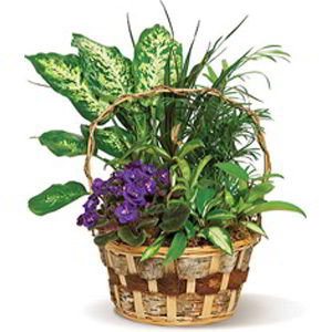 Parsippany Florist | Pretty Basket