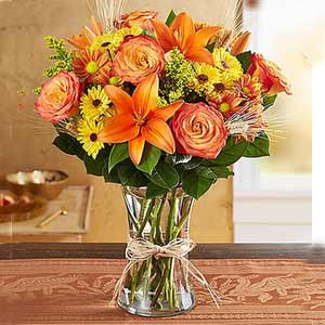 Parsippany Florist | Fall Collection