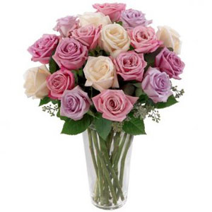 Parsippany Florist | 18 Pastel Roses