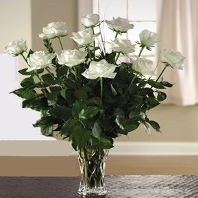 Parsippany Florist | 12 White Roses 