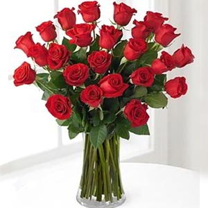 Parsippany Florist | 24 Red Roses