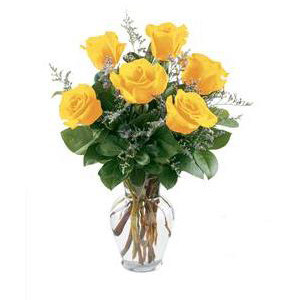 Parsippany Florist | 6 Yellow Roses